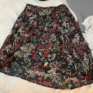 Established skirt